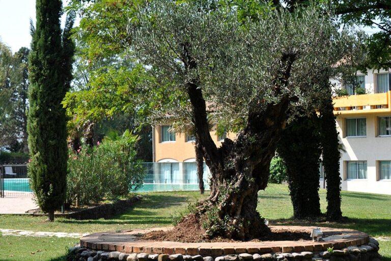 les-oliviers-1lieu1salle-hotel-seminaire.jpg