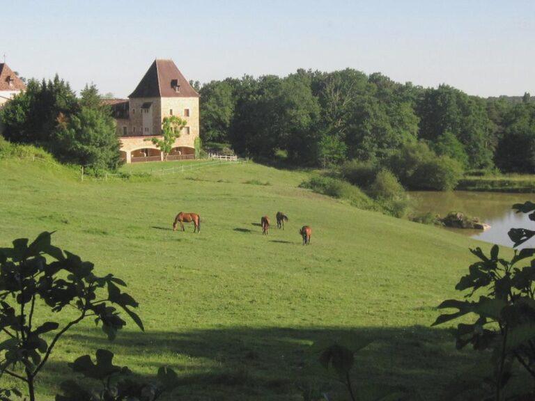 manoir-du-grand-vignoble-1lieu1salle-nature.jpg