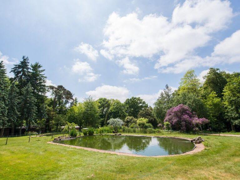 chateau-boisniard-1lieu1salle-parc-etang.jpg