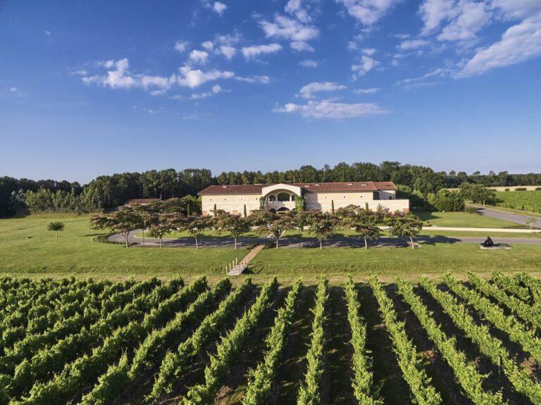 chateau-cransac-1lieu1salle-vignes.jpg