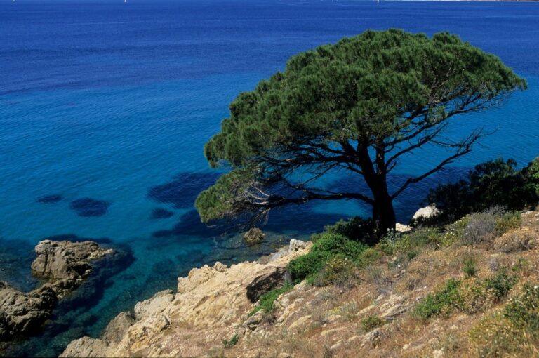 dolce-fregate-provence-1lieu1salle-event.jpg