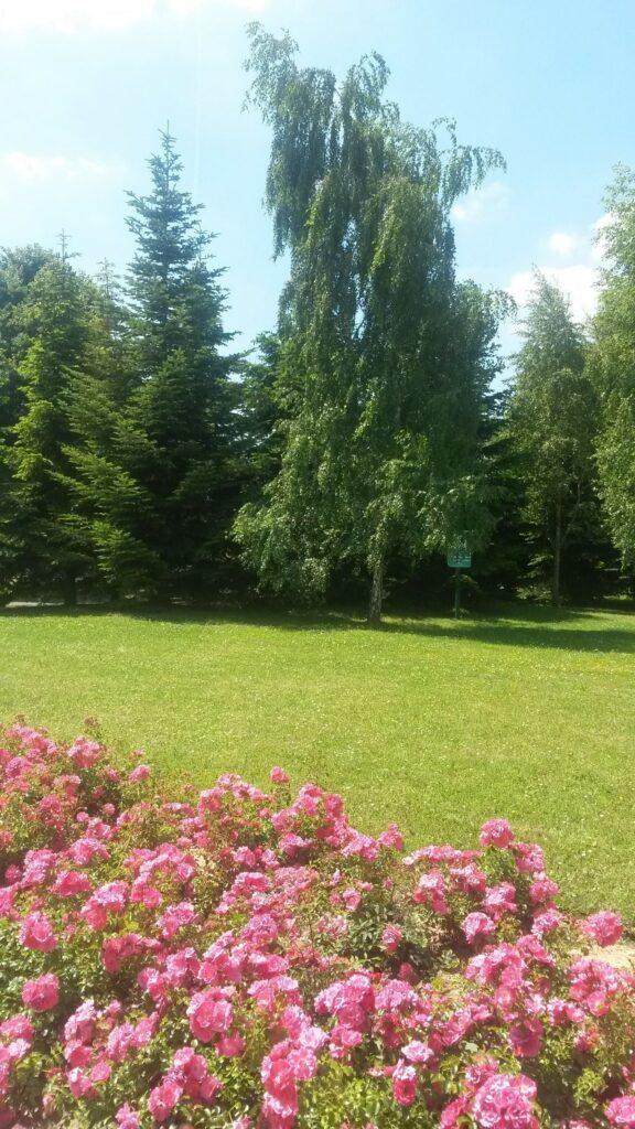 espace-cetime-1lieu1salle-evenement-parc.jpg