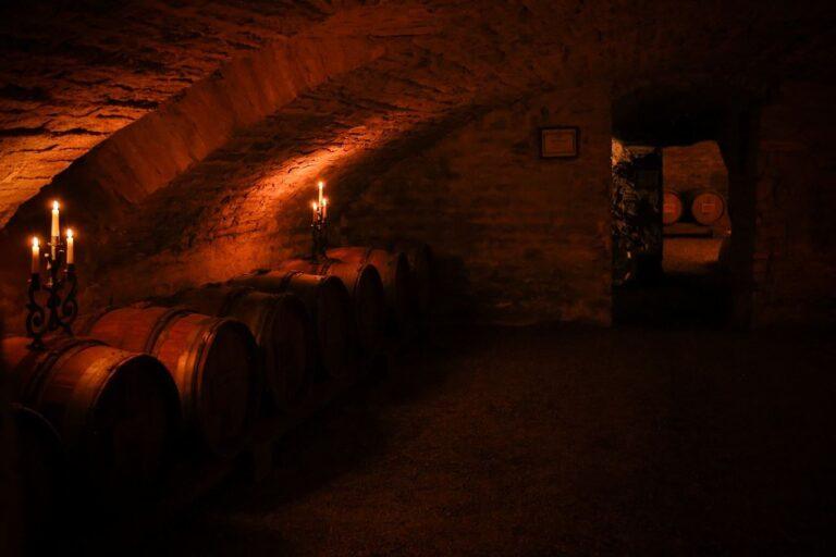 hotel-regnard-1lieu1salle-degustation-de-vin.jpg