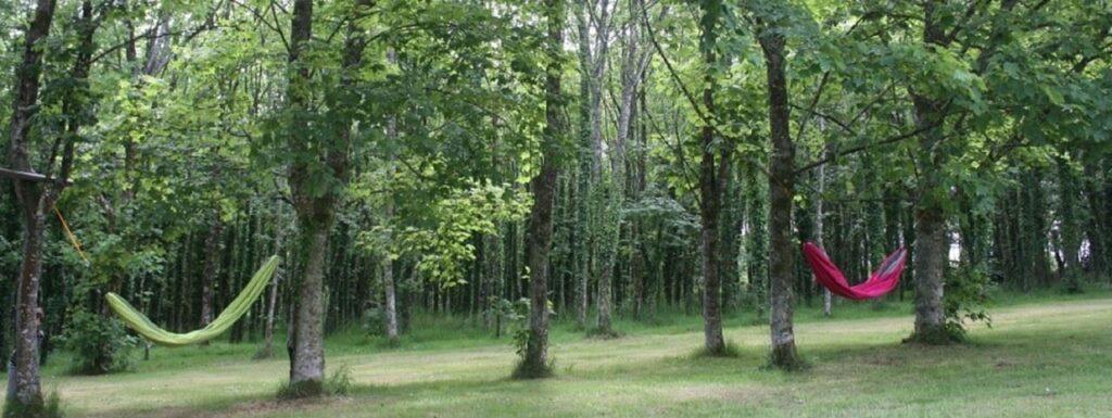 latitude-ouest-1lieu1salle-seminaire-restaurant-hotel-meeting-vert.jpg