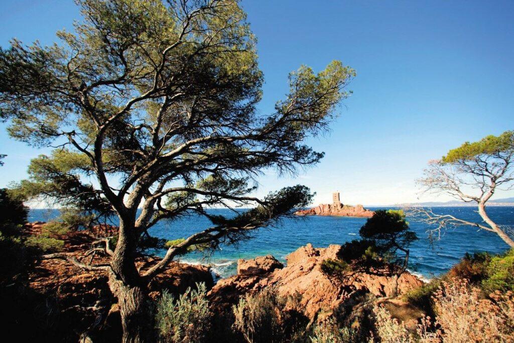 village-club-de-cap-esterel-1lieu1salle-vue2.jpg