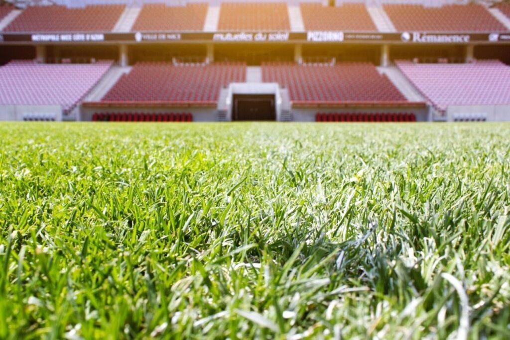 Allianz-Riviera-1lieu1salle-pelouse.jpeg
