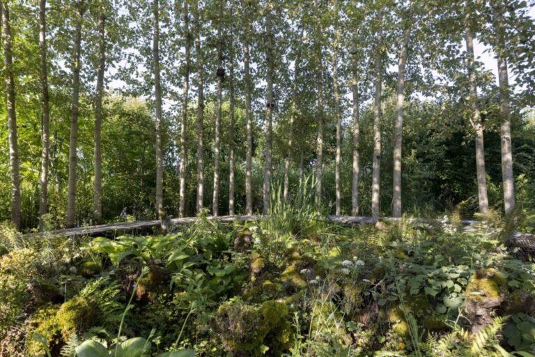 Saline-royale-Jardin-HD-Yoan-Jeudy-Sosuite-photographie-22-1024x683-1.jpg