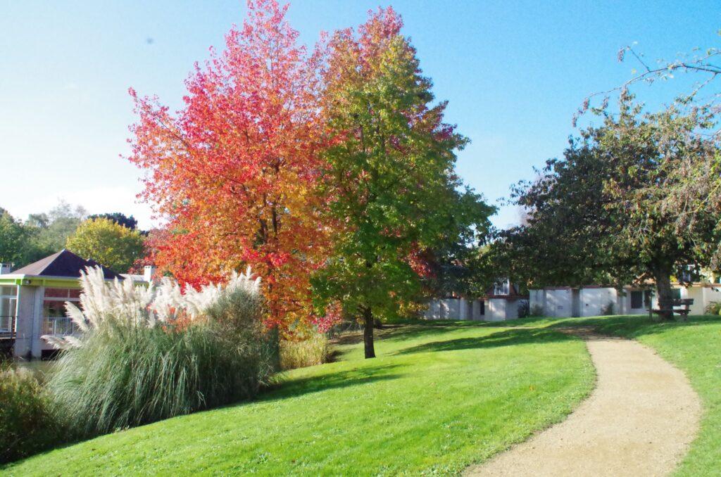 PARC-AUTOMNE2-scaled-1.jpg