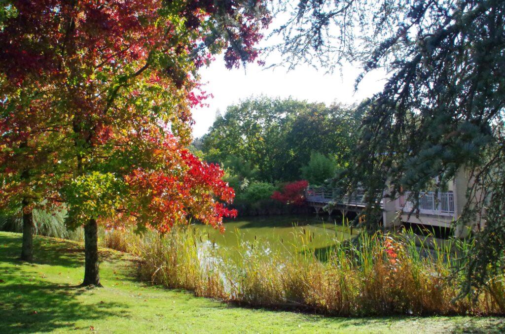 PARC-AUTOMNE3-scaled-1.jpg
