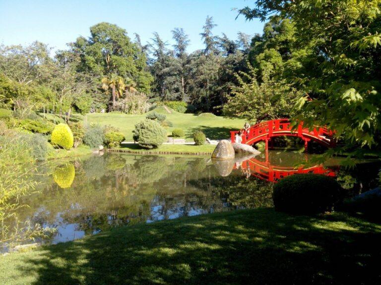 Toulouse_-_Vue_du_jardin_japonais.jpg