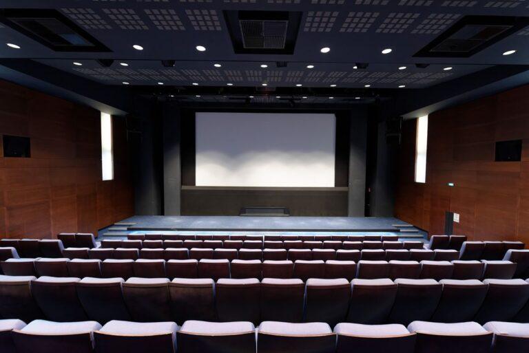 cinematheque-francaise-1lieu1salle-events.jpg