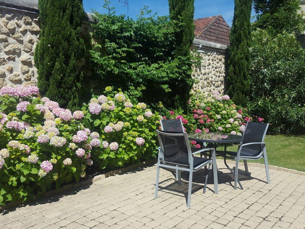 20190616_120411.jpg