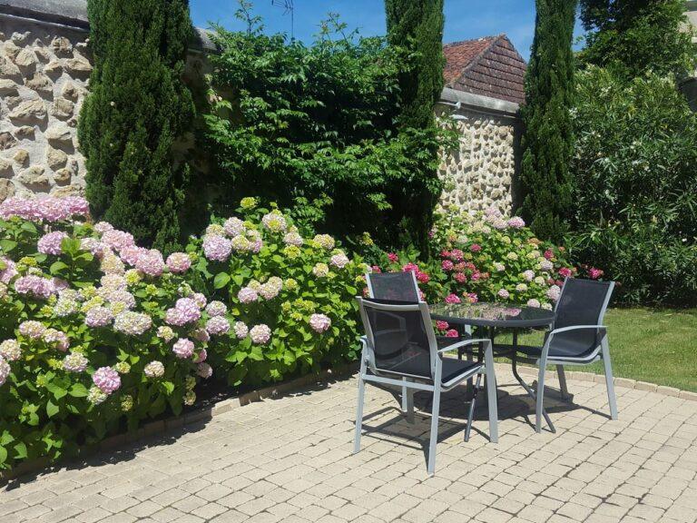 20190616_120411.jpg