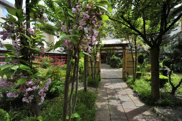 Japanese-Gardens.jpg