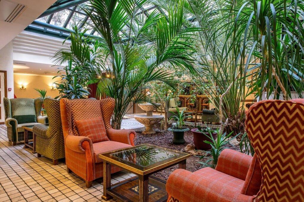 Patio-jardin-dhiver-7.jpg