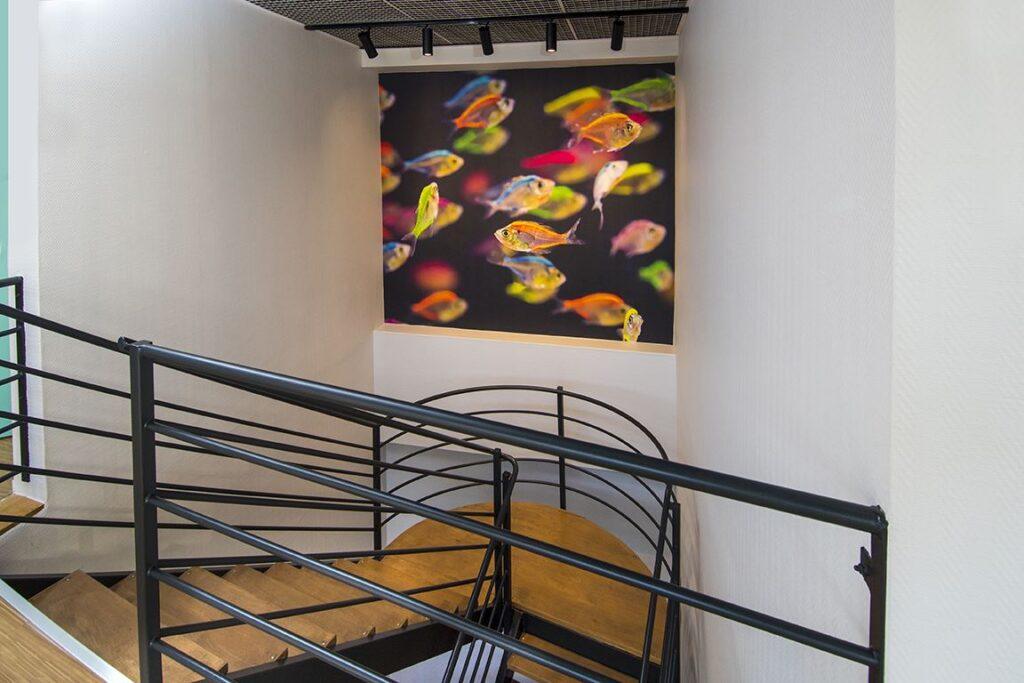 DSC8339-montee-poisson.jpg