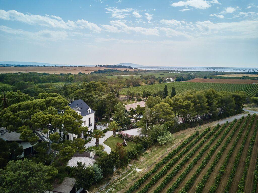 Vue-Domaine-Tarbouriech-1-scaled-1.jpg