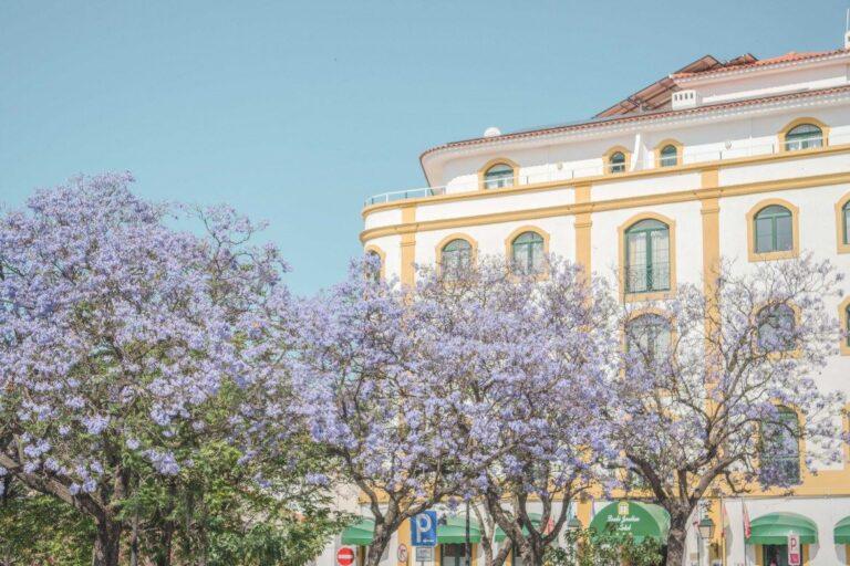 loule-jardim-hotel-1lieu1salle-event.jpg