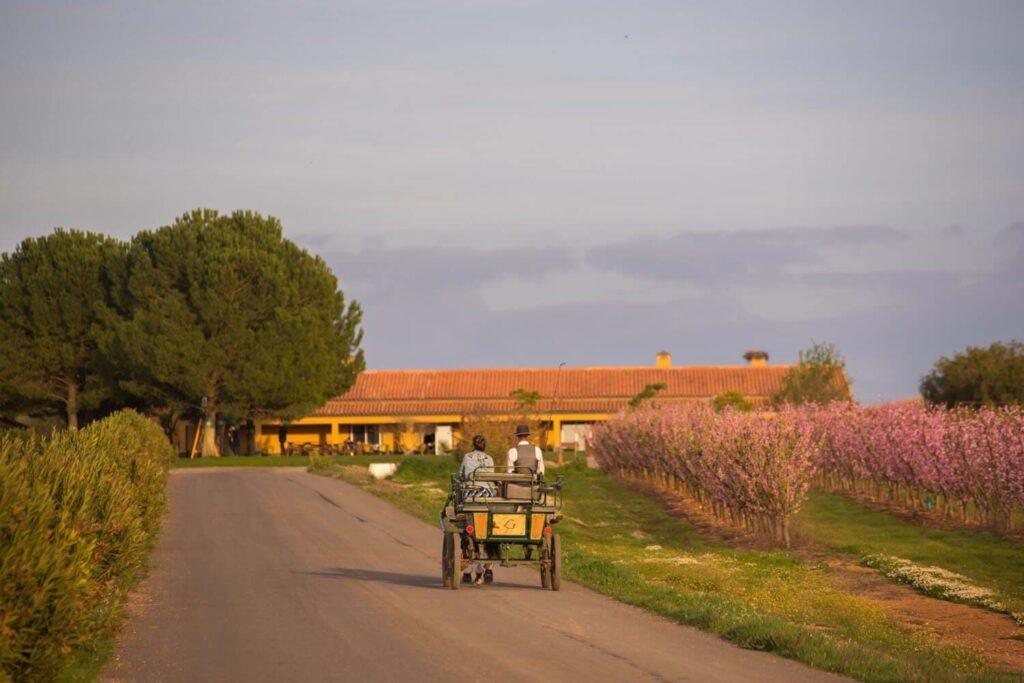 vila-gale-clube-de-campo-1lieu1salle-events.jpg