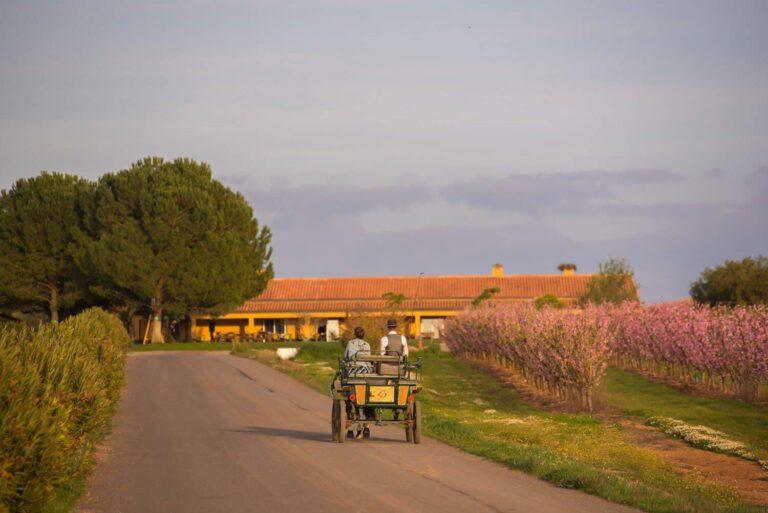 vila-gale-clube-de-campo-1lieu1salle-events.jpg