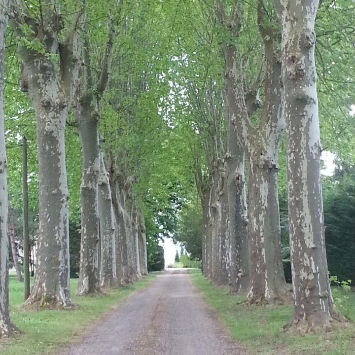 entree-du-Chateau-Marith.jpg