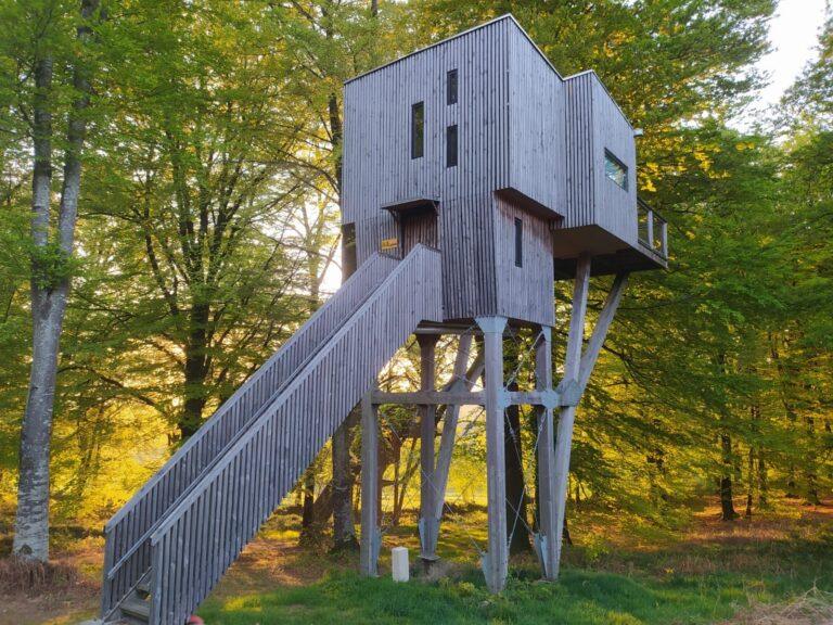cabane-dans-les-arbres-hebergement-insolite.jpeg