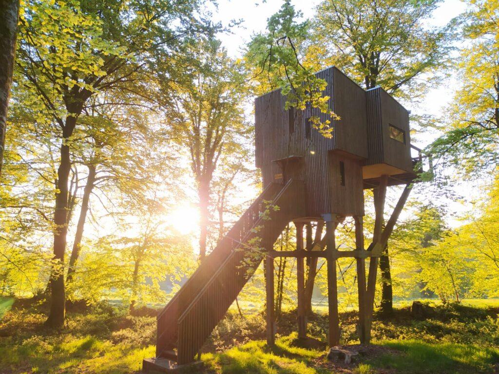cabane-dans-les-arbres-lever-soleil.jpeg