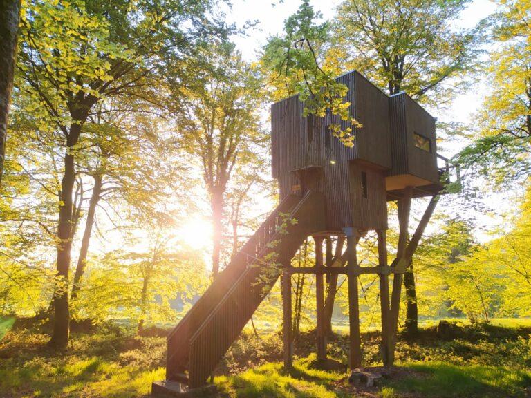 cabane-dans-les-arbres-lever-soleil.jpeg