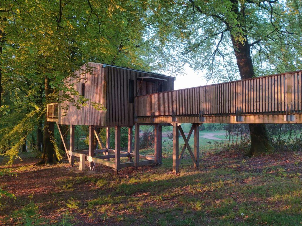 cabane-dans-les-arbres-pmr.jpeg