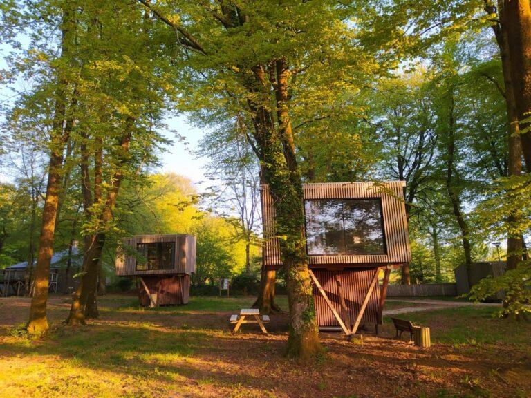 etape-en-foret-hebergement-insolite.jpeg