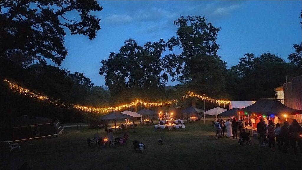 mariage-etape-en-foret.jpeg