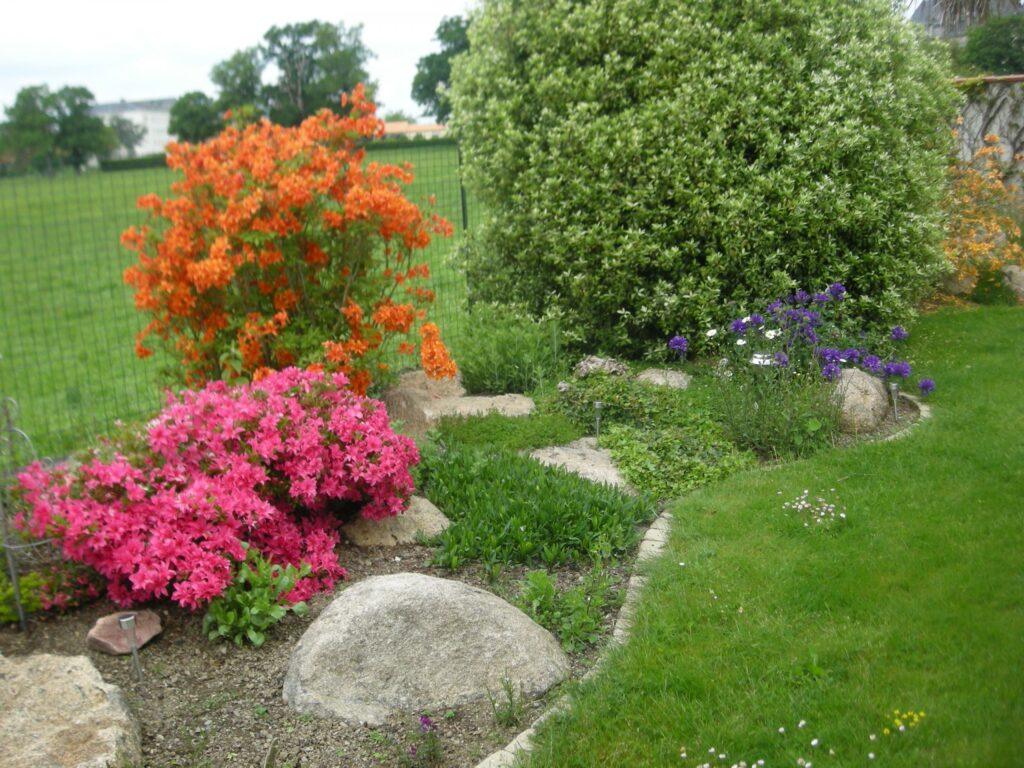 FLEURS-EXT-MAISON-BROUZILS-MAI-2016-008-scaled-1.jpg