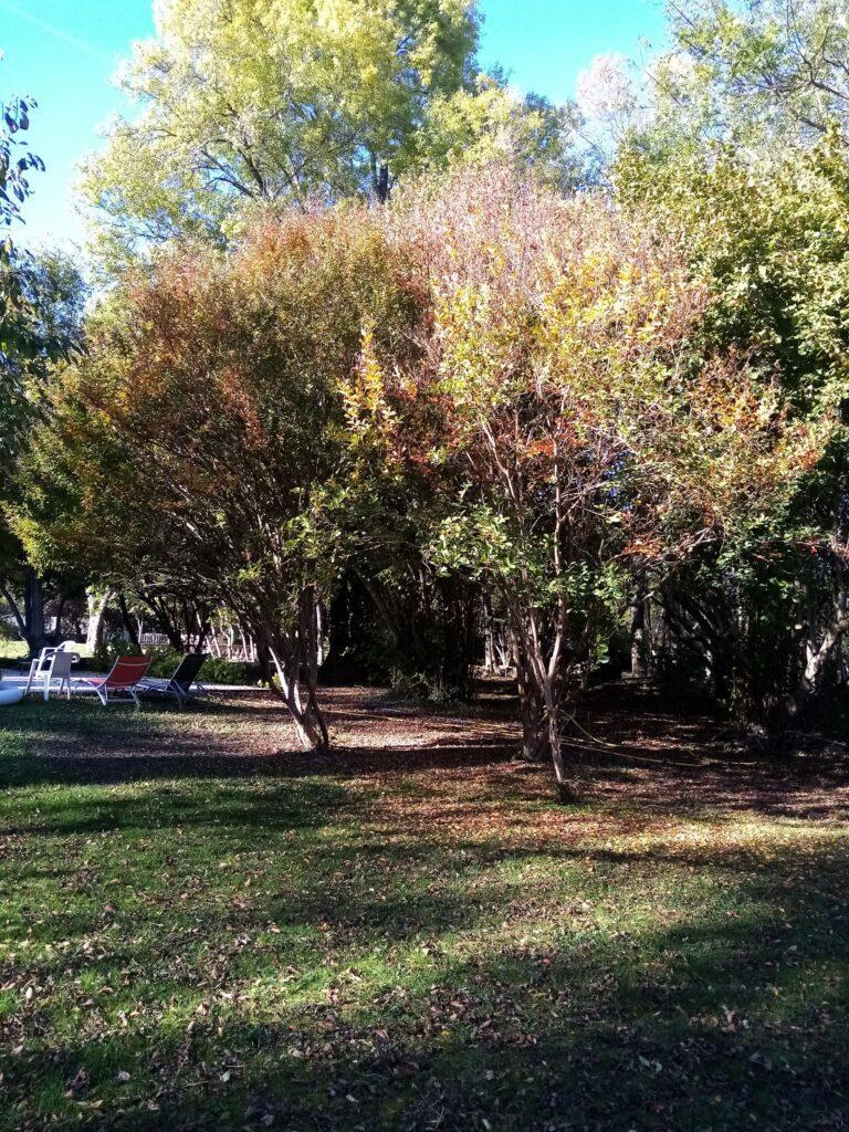 IMG_20211024_162548-scaled-1.jpg