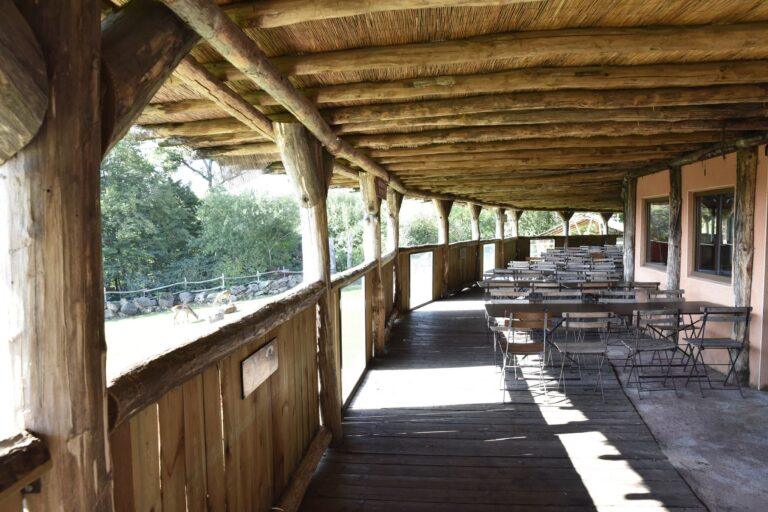 Salle-Masai-Mara-Terrasse-panoramique-copie.jpg