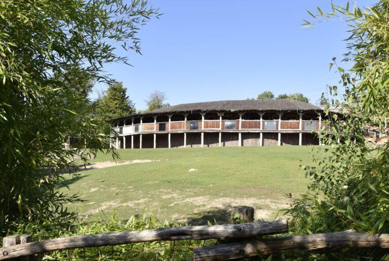 Salle-Masai-Mara-copie.jpg