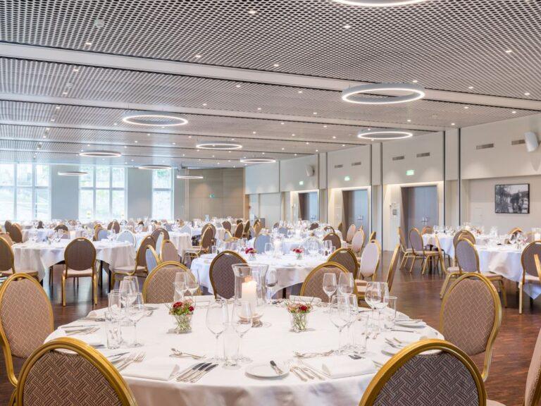 mercure-lenzburg-krone-1lieu1salle-seminaire.jpg