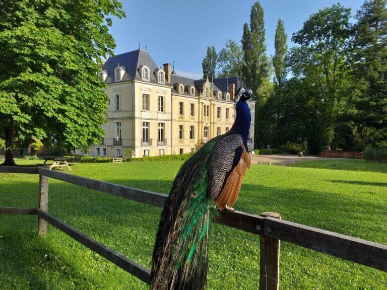 paon-ferme-pédagogique-normandie-1.jpg