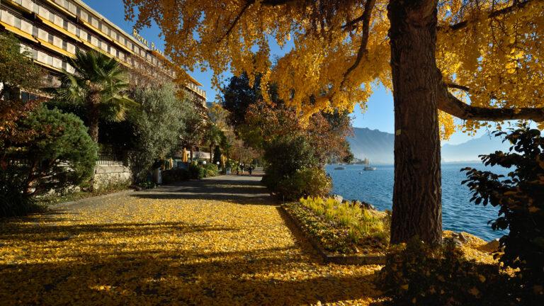 royal-plaza-montreux-1lieu1salle-event.jpg