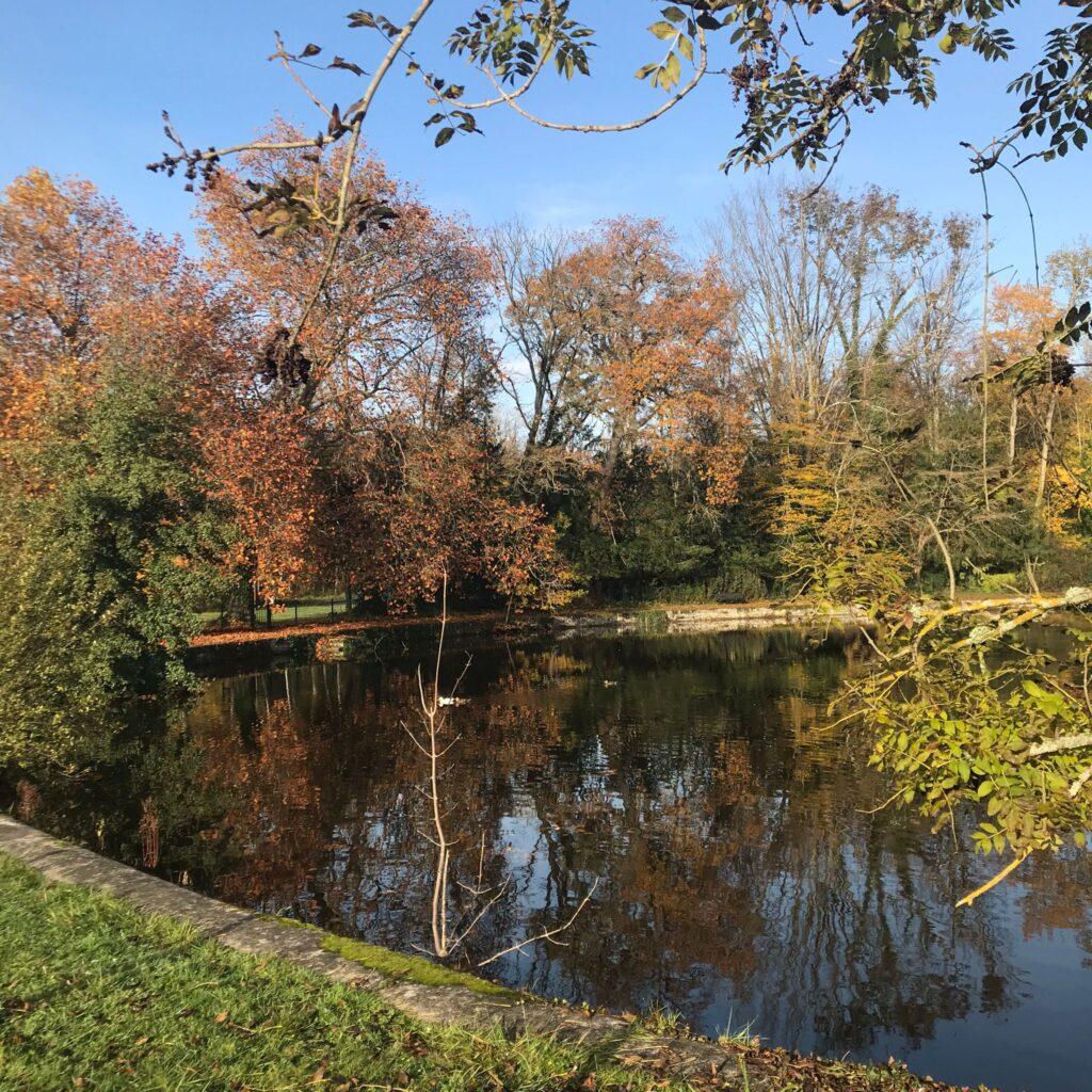PARC-lac.jpeg