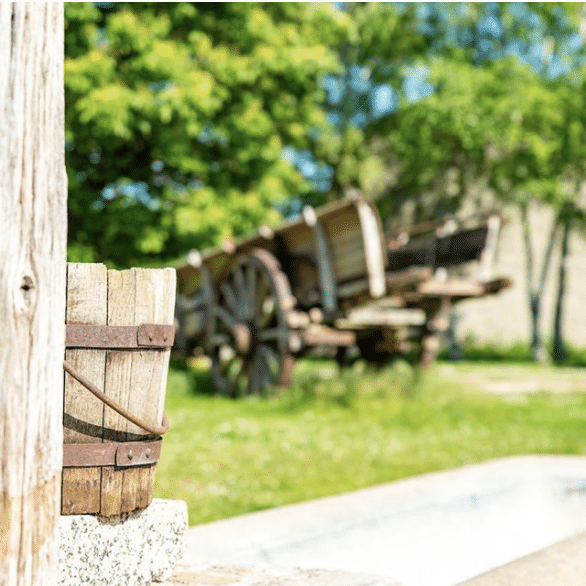 insta-domaine-2.png