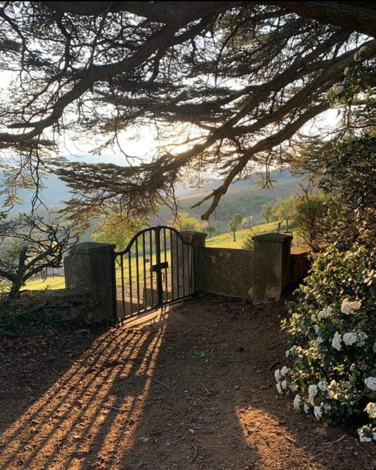 jardin.jpg