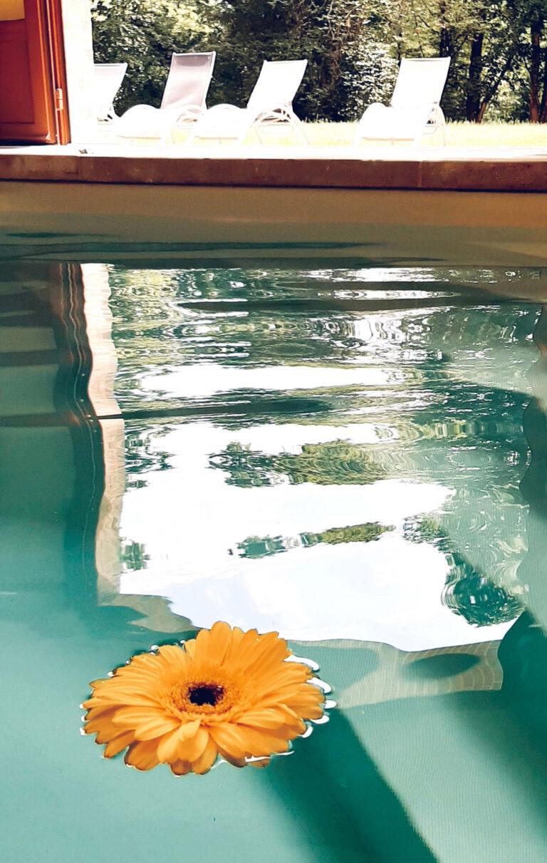 Piscine27-scaled-1.jpg