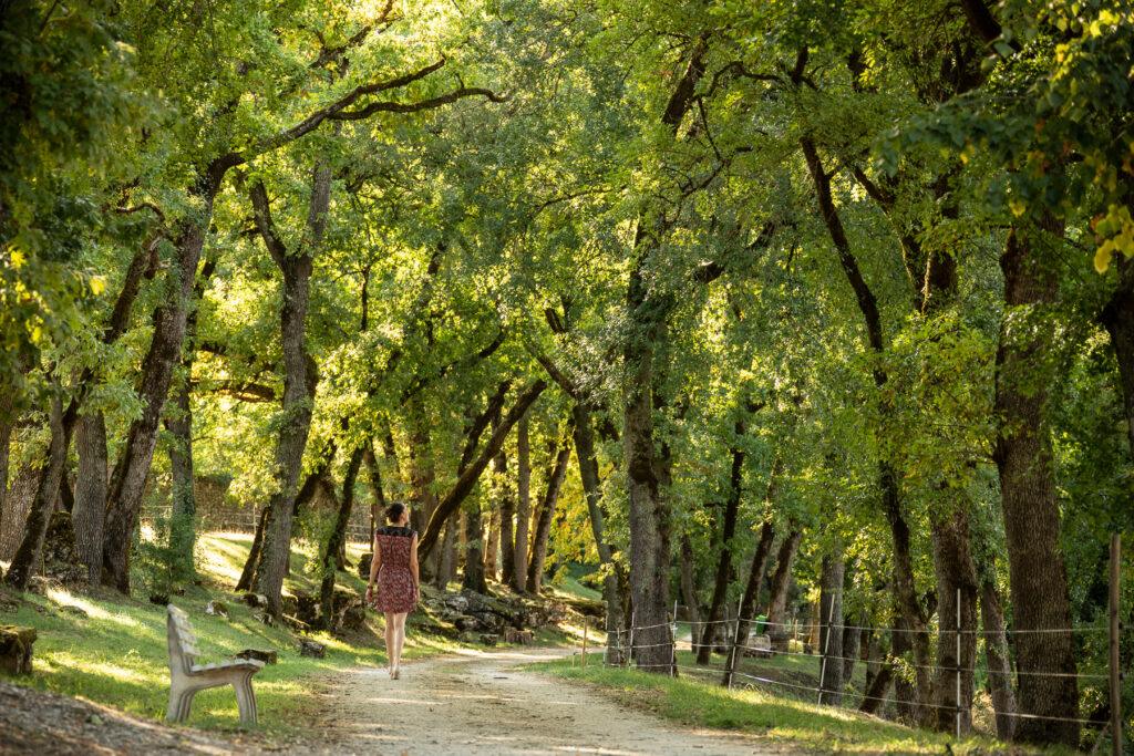 Grand-Couvent-Gramat-Valeurs-Parc©MalikaTurin-9220-WEB.jpg