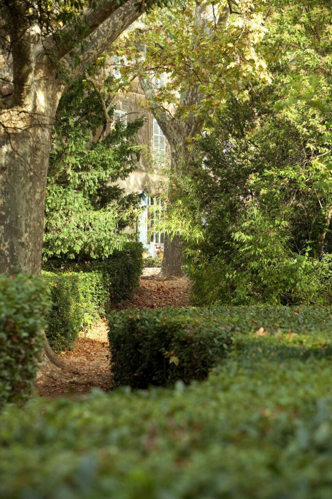 Exterieur-jardin-feuillages-scaled-1.jpg