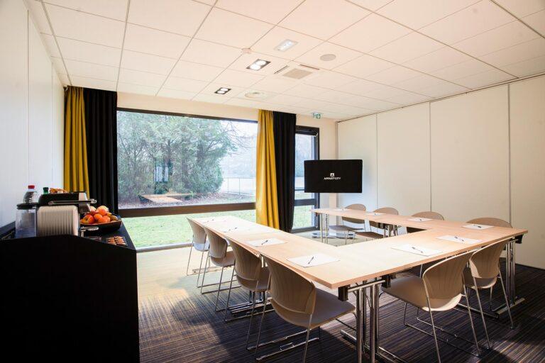 Seminaires-FEVO-Geneve-Apt-Ferney-Voltaire-Salle-Mirabeau-1.jpg