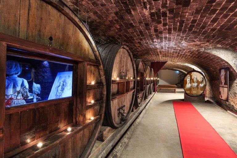 vinoscenie-new_chateau-saint-martin-cave-souterraine.jpg