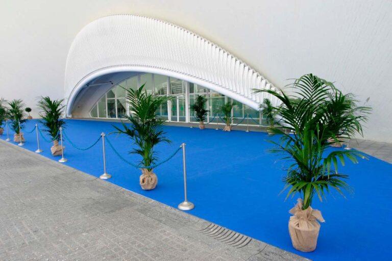 musee-sciences-principe-felipe-1lieu1salle-evenements.jpg