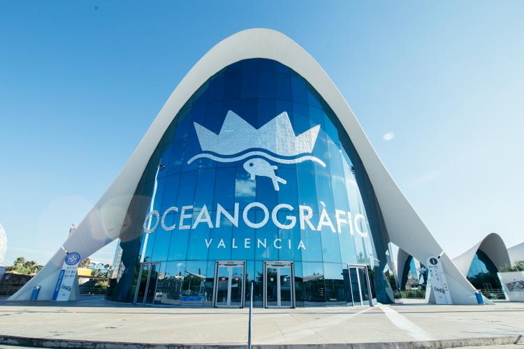 oceanografic-valencia-1lieu1salle-congres.jpg