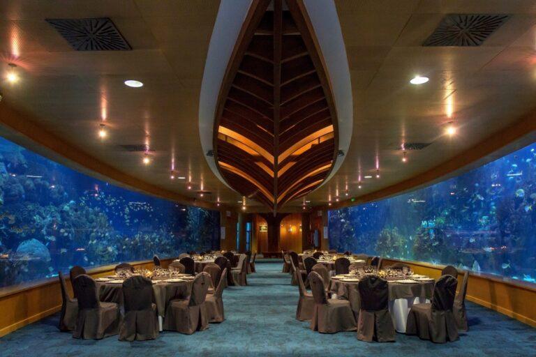 oceanografic-valencia-1lieu1salle-evenements.jpg