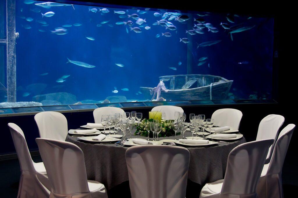 oceanografic-valencia-1lieu1salle-event.jpg